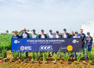 Foto: Ariane Cavalheiro - CCGL