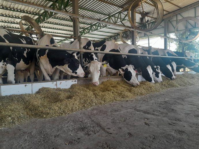CCGL amplia de 30% para 40% participação dos sólidos no pagamento pelo leite