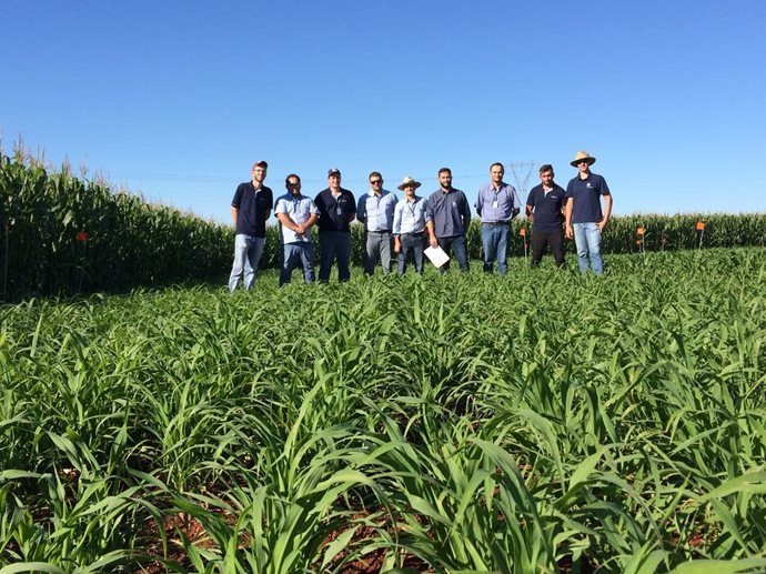 Técnicos da Área Leite participaram de treinamento da Yara Fertilizantes