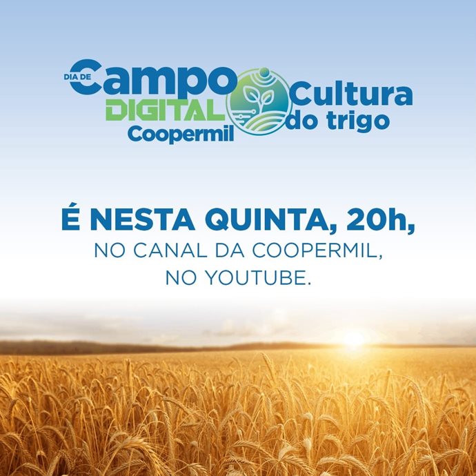 Dia de Campo Digital da Cultura do Trigo da Coopermil será dia 08/10 às 20h.
