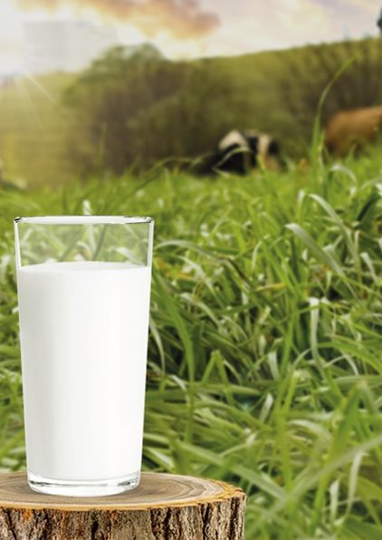 Coopermil divulga programação do Dia de Campo Leite