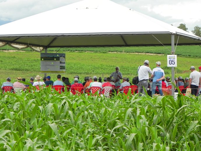 Coopermil inscreve produtores para participar da Tarde de Campo CCGL
