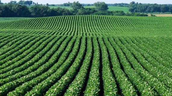 Telmo Amado palestrará para produtores sobre Agricultura de Precisão