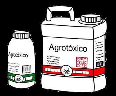 Recolhimento de embalagens de agrotóxicos será realizada pela Coopermil