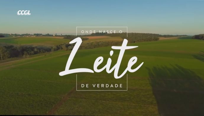 CCGL lança nova campanha para seus produtos lácteos