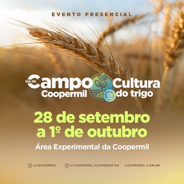 Coopermil realizará Dia de Campo da Cultura do Trigo de Forma Presencial