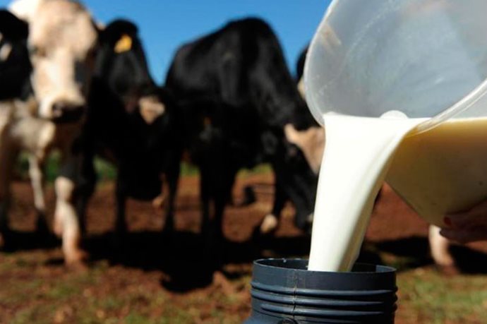 Produtores e técnicos da Coopermil participarão de Dia de Campo da CCGL